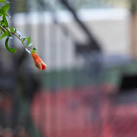 I Propilei Di San Girolamo Bed & Breakfast Rimini