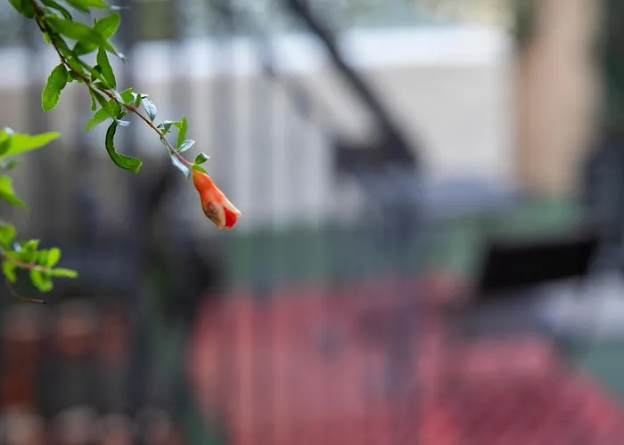 I Propilei Di San Girolamo Oda ve Kahvaltı Rimini